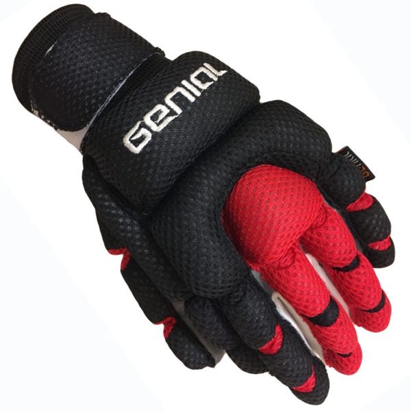GENIAL MESH